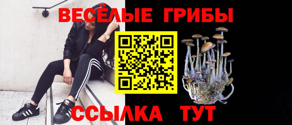 Великие Луки  Галлюциногенные грибы Cubensis  Вход с VPN  Псилоцибиновые грибы Psilocybe 
