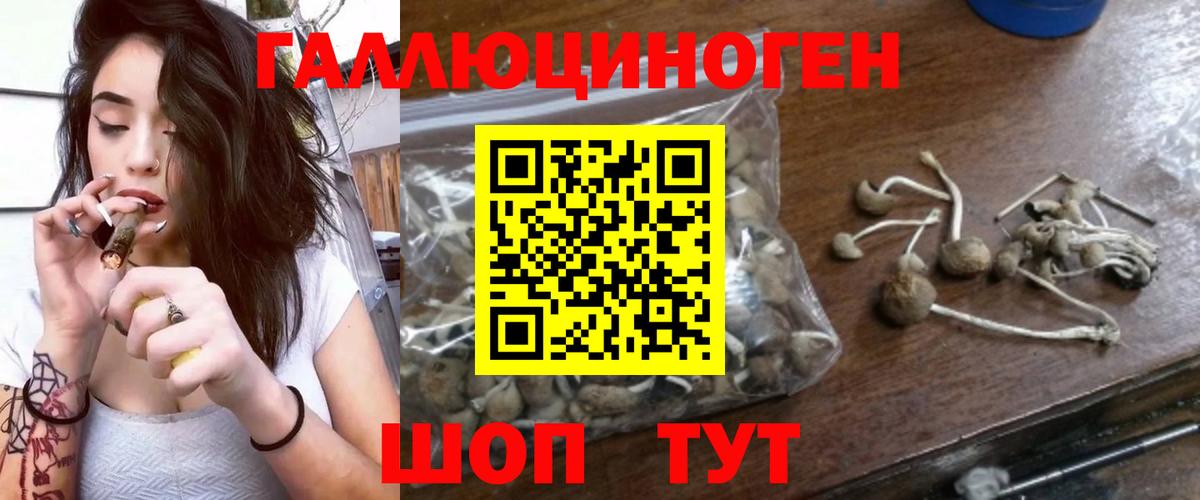 Псилоцибиновые грибы MAGIC MUSHROOMS Великие Луки